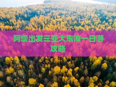 阿坝出发三亚大东海一日游