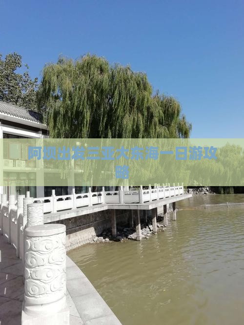 阿坝出发三亚大东海一日游