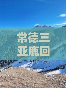 常德出发三亚鹿回头旅行社