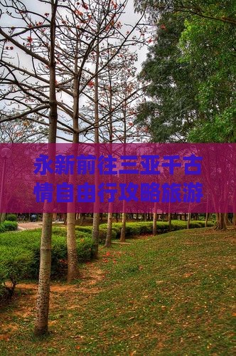 永新前往三亚千古情自由行