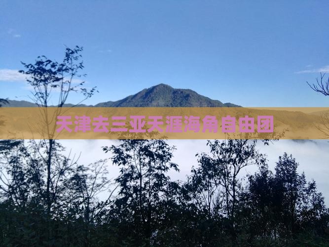 天津去三亚天涯海角自由团