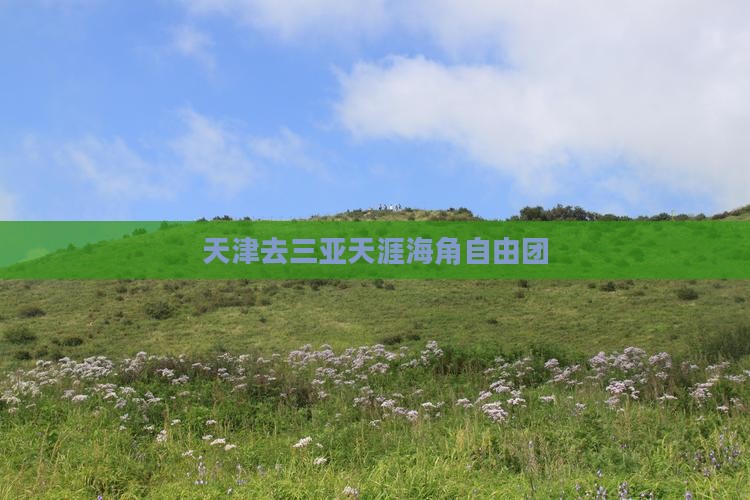 天津去三亚天涯海角自由团