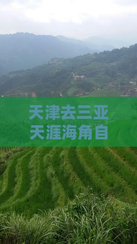 天津去三亚天涯海角自由团