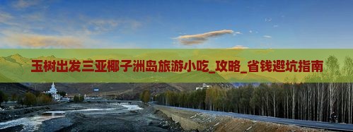 玉树出发三亚椰子洲岛旅游小吃