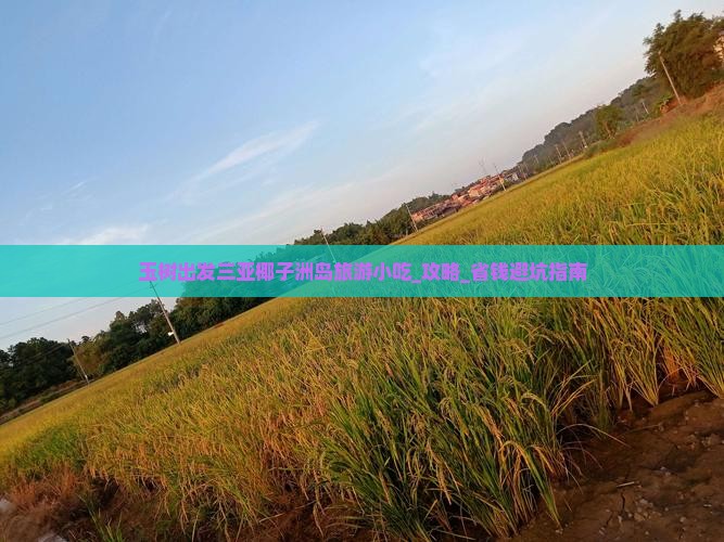玉树出发三亚椰子洲岛旅游小吃