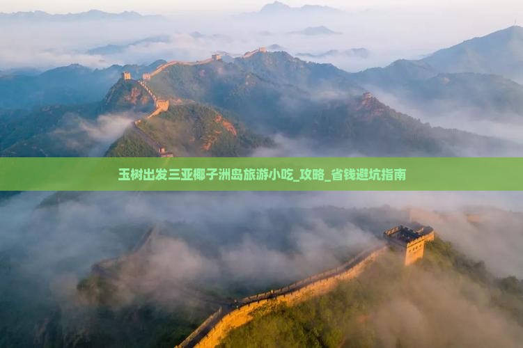 玉树出发三亚椰子洲岛旅游小吃