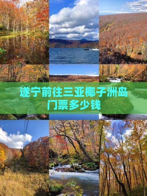 遂宁前往三亚椰子洲岛门票