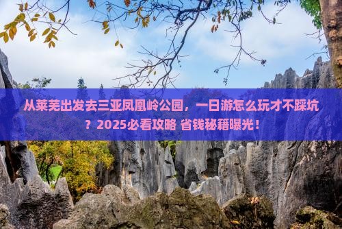 莱芜出发三亚凤凰岭公园一日游