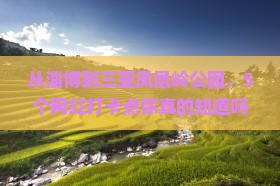 淄博去三亚凤凰岭公园旅游网红地点