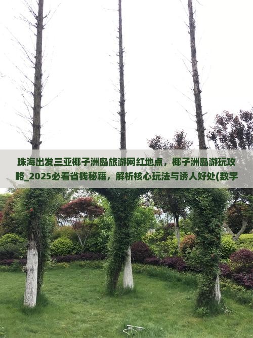 珠海出发三亚椰子洲岛旅游网红地点