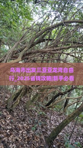 乌海市出发三亚亚龙湾自由行