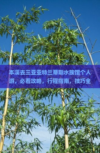 本溪去三亚亚特兰蒂斯水族馆个人游