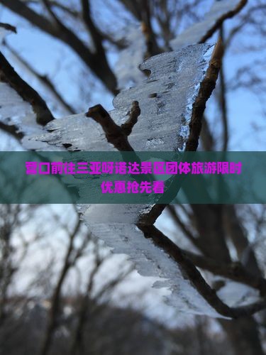 营口前往三亚呀诺达景区团体旅游