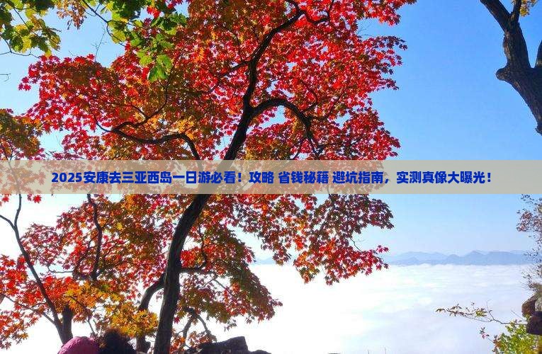 安康去三亚西岛一日游