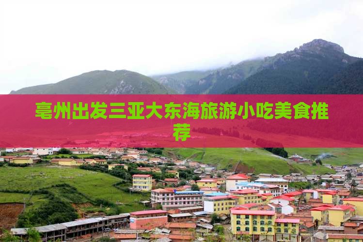 亳州出发三亚大东海旅游小吃
