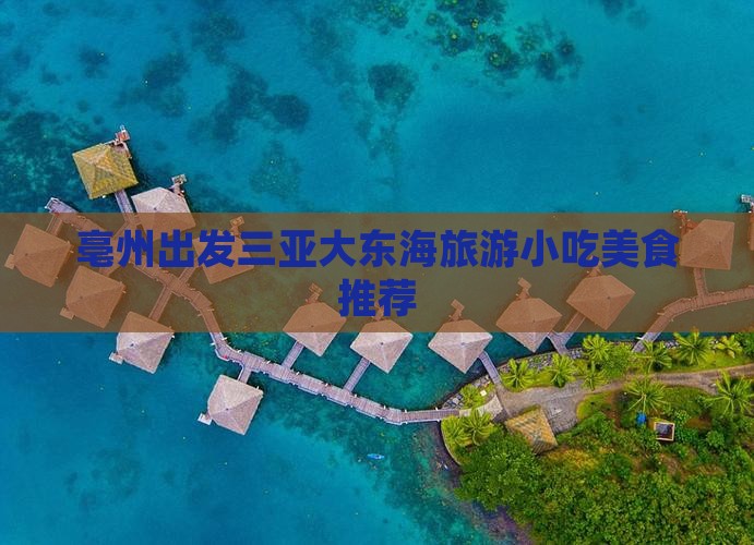 亳州出发三亚大东海旅游小吃