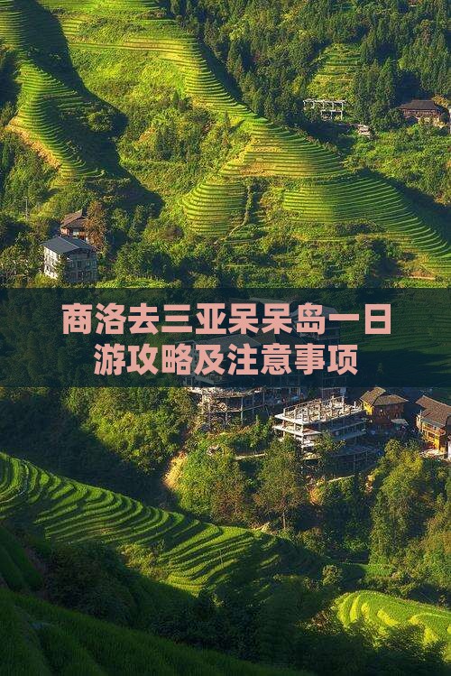 商洛去三亚呆呆岛一日游
