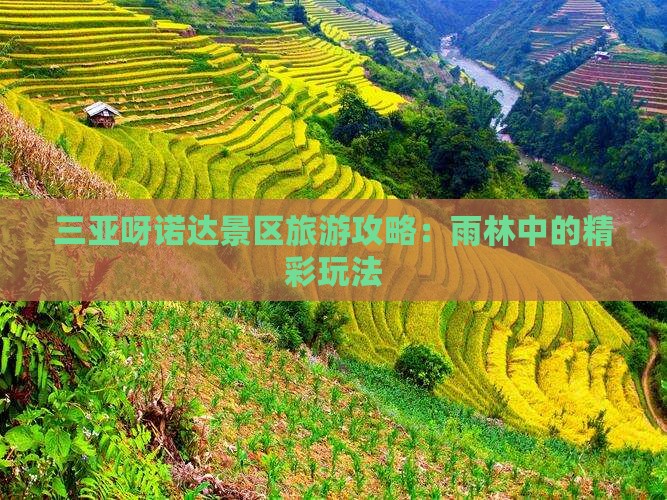 塔城去三亚呀诺达景区哪里玩