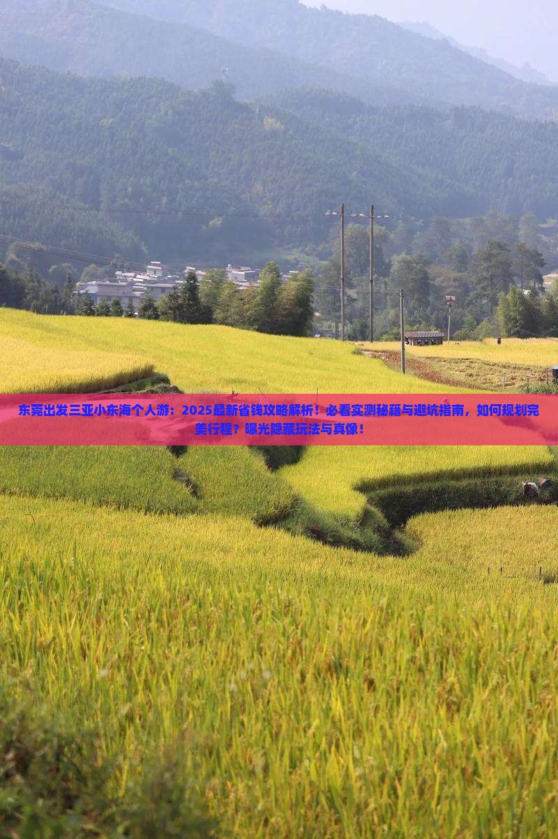东莞出发三亚小东海个人游