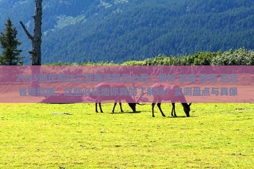 迪庆前往三亚南湾猴岛必玩地