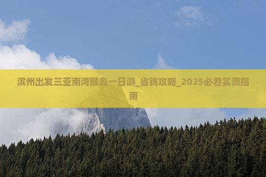 滨州出发三亚南湾猴岛一日游