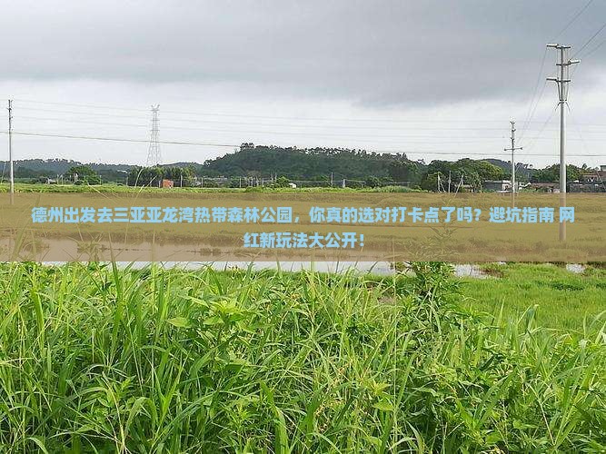 德州出发三亚亚龙湾热带森林公园旅游打卡点