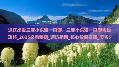通辽出发三亚小东海一日游