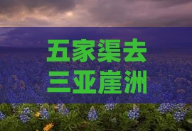 五家渠去三亚崖洲古城一日游
