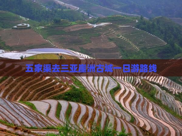 五家渠去三亚崖洲古城一日游