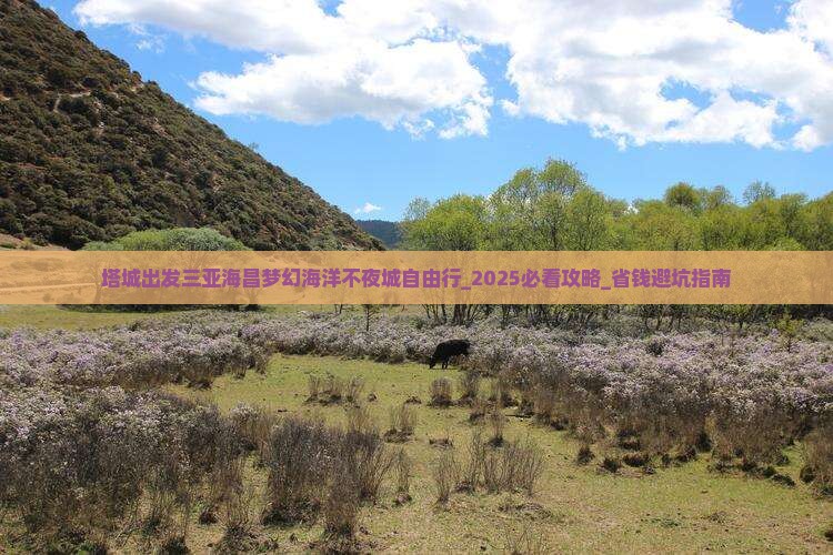 塔城出发三亚海昌梦幻海洋不夜城自由行