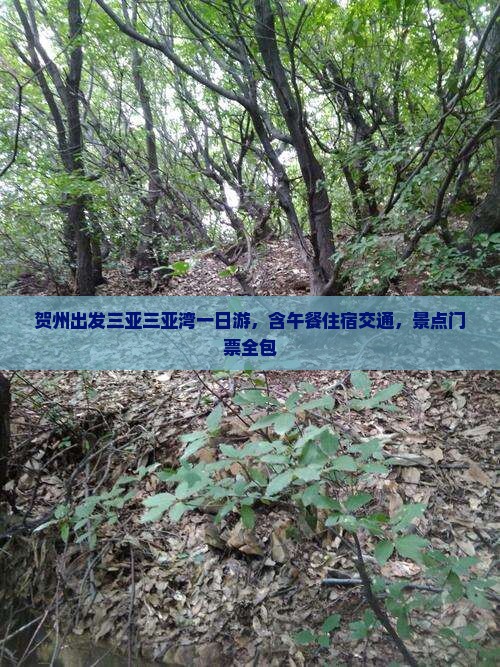 贺州出发三亚三亚湾一日游