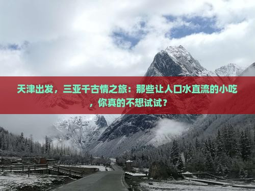 天津去三亚千古情旅游小吃
