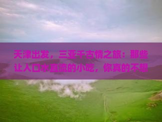 天津去三亚千古情旅游小吃