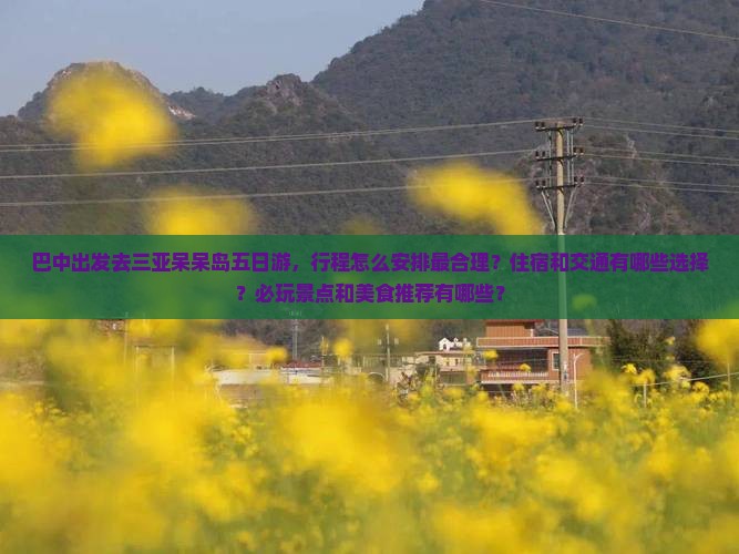 巴中前往三亚呆呆岛五日游