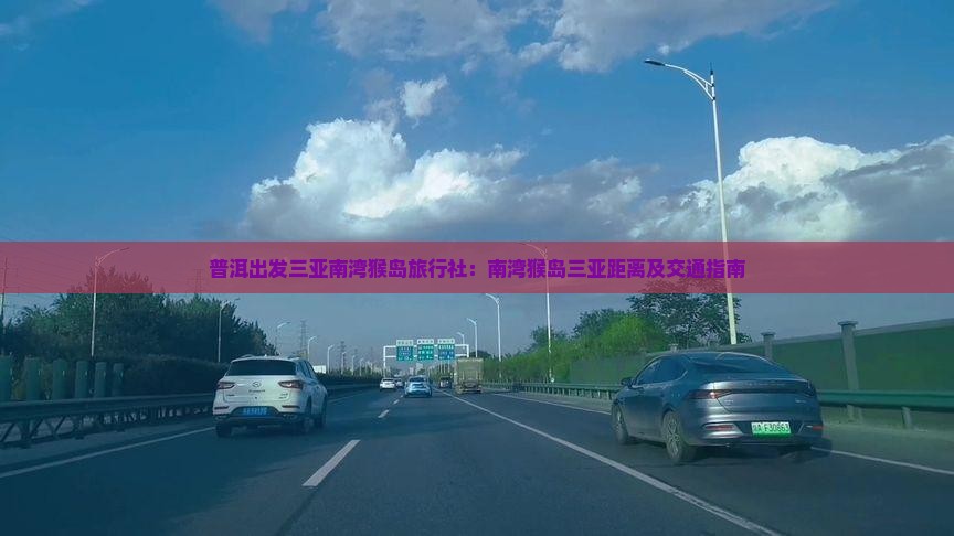 普洱出发三亚南湾猴岛旅行社