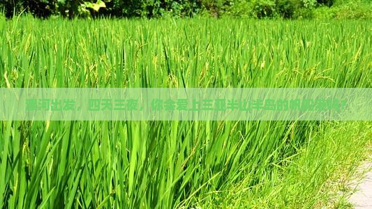 漯河前往三亚半山半岛帆船港四日游
