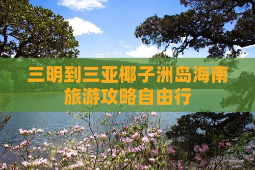 三明出发三亚椰子洲岛自由团