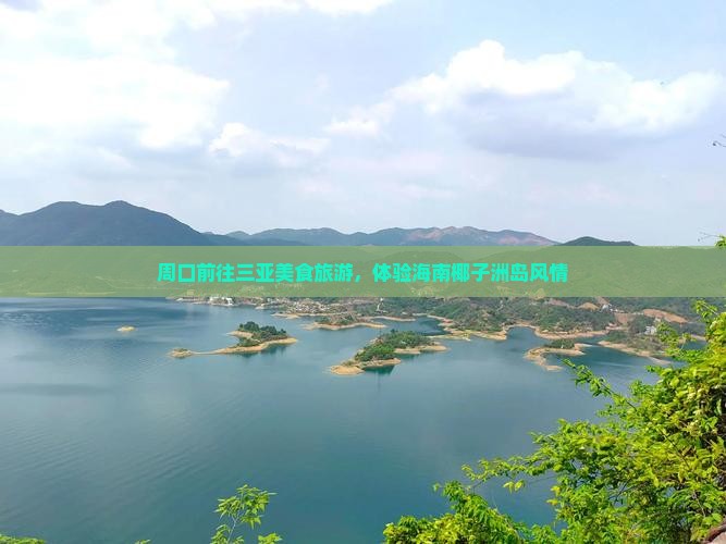 周口前往三亚椰子洲岛旅游小吃