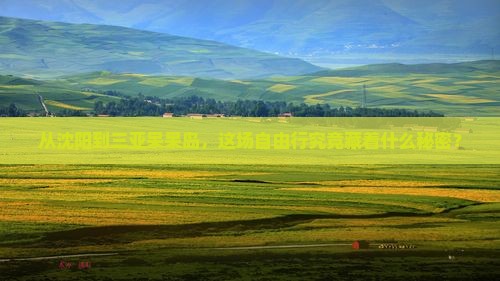 沈阳出发三亚呆呆岛自由行