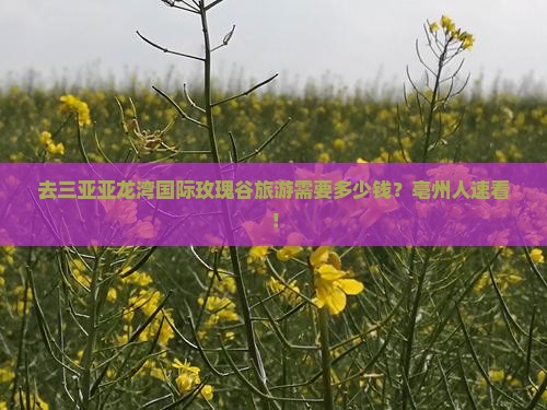 亳州去三亚亚龙湾国际玫瑰谷旅游
