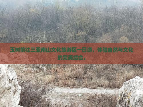 玉树前往三亚南山文化旅游区一日游