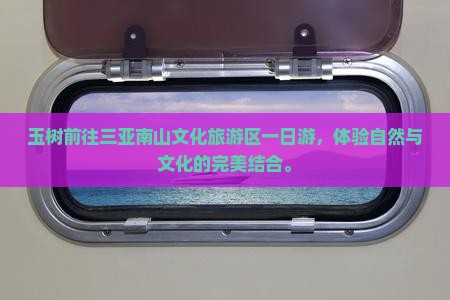 玉树前往三亚南山文化旅游区一日游