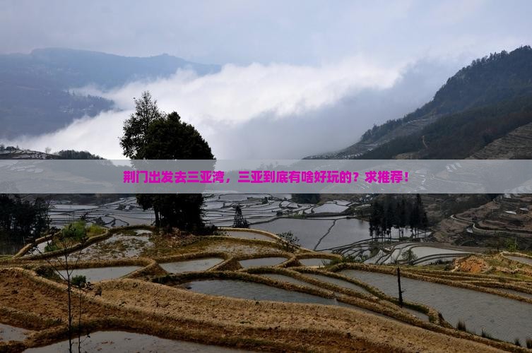 荆门出发三亚三亚湾哪里玩