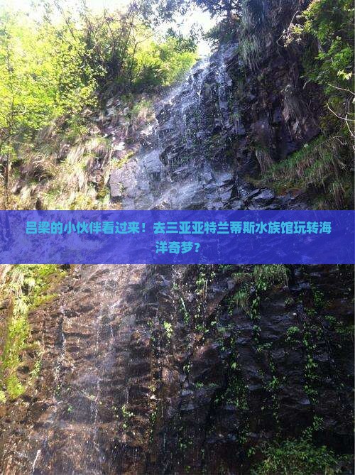 吕梁去三亚亚特兰蒂斯水族馆必玩地