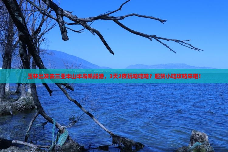 玉林出发三亚半山半岛帆船港旅游小吃