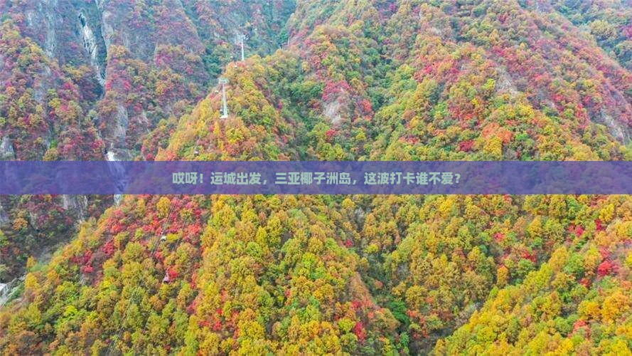 运城去三亚椰子洲岛旅游打卡点
