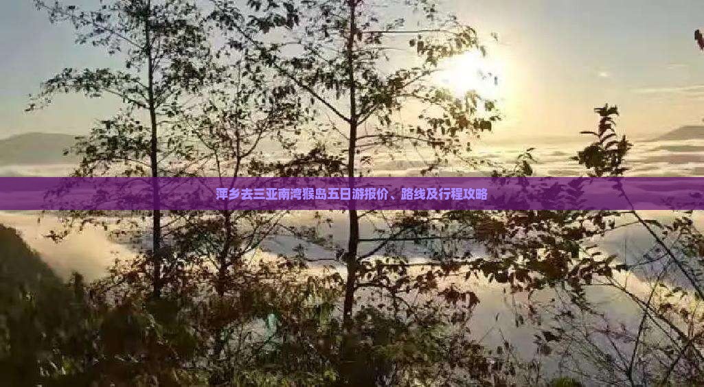 萍乡去三亚南湾猴岛五日游