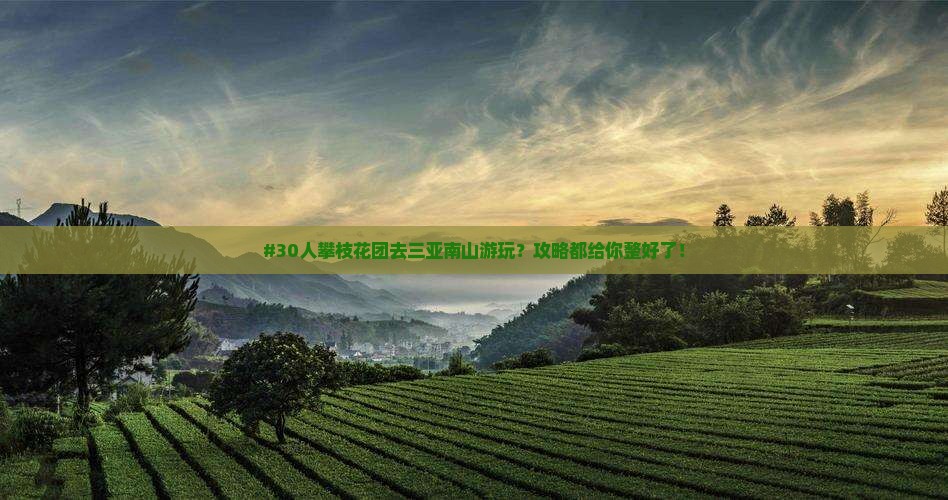 攀枝花去三亚南山文化旅游区团体旅游 攀枝花去三亚南山文化旅游区团体旅游