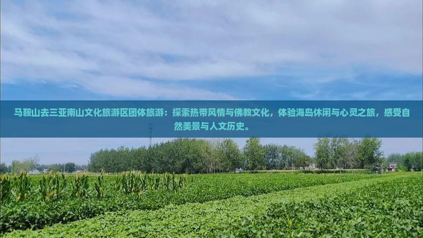 马鞍山去三亚南山文化旅游区团体旅游