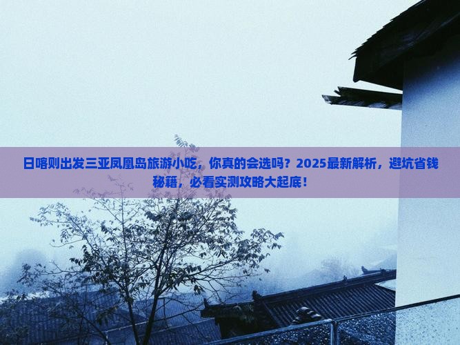日喀则出发三亚凤凰岛旅游小吃